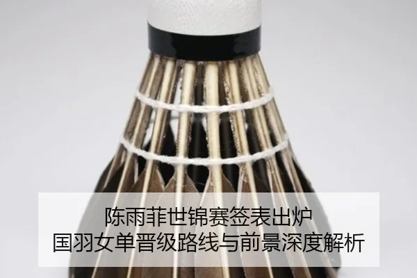 陈雨菲世锦赛签表出炉 国羽女单晋级路线与前景深度解析 | kaiyun