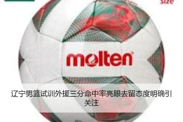 辽宁男篮试训外援三分命中率亮眼去留态度明确引关注 | kaiyun